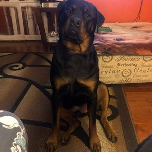 Meet your Posher, Eva